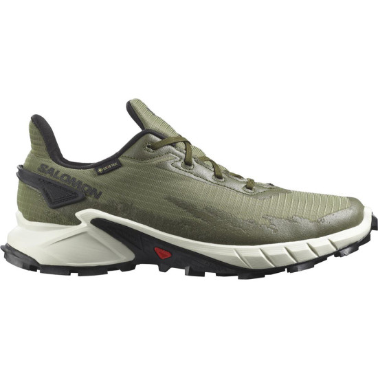 Salomon Alphacross 4 GTX